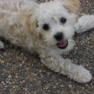 Meet your Posher, Debbie